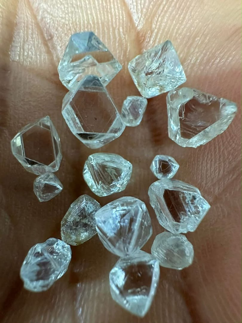 Rough diamonds on a palm